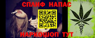 прущие крисы Будённовск