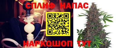 прущие крисы Будённовск