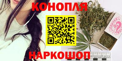 прущие крисы Будённовск