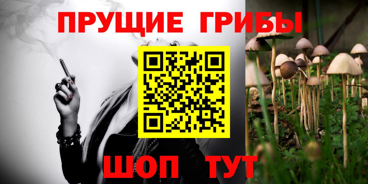 Галлюциногенные грибы MAGIC MUSHROOMS  Вход с VPN  Ливны 